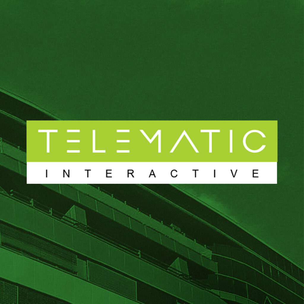 Telematic Interactive - website development